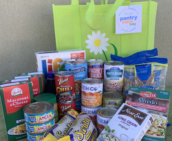 Pantry Care Bag for One Family